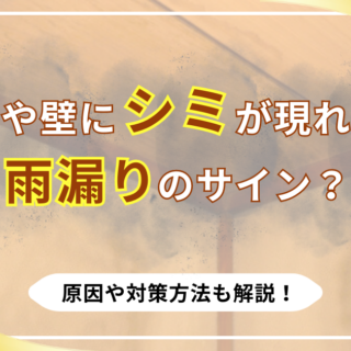 天井や壁にシミが現れたら雨漏りのサイン？原因や対策方法も解説！